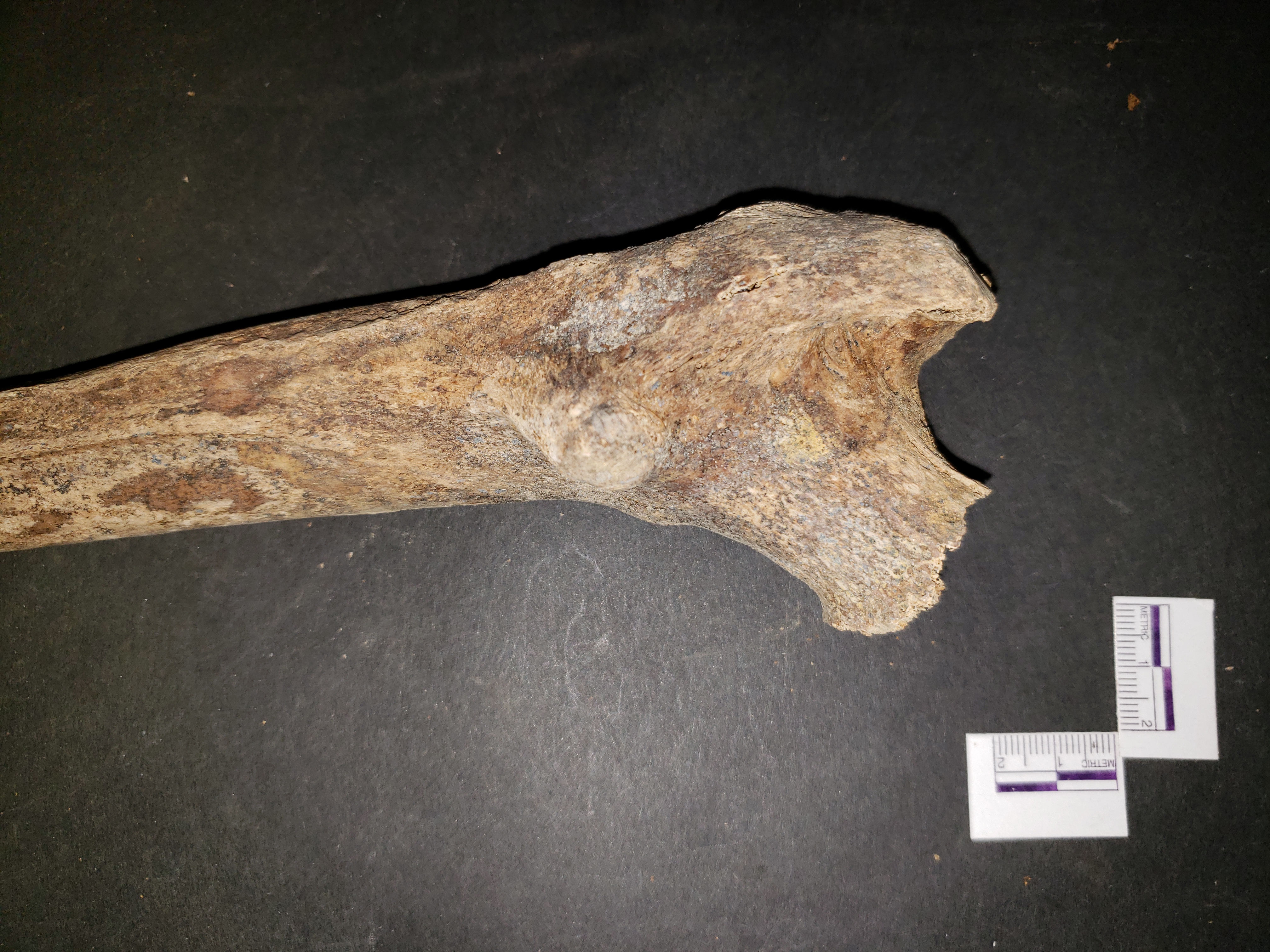 Close-up of proximal damage