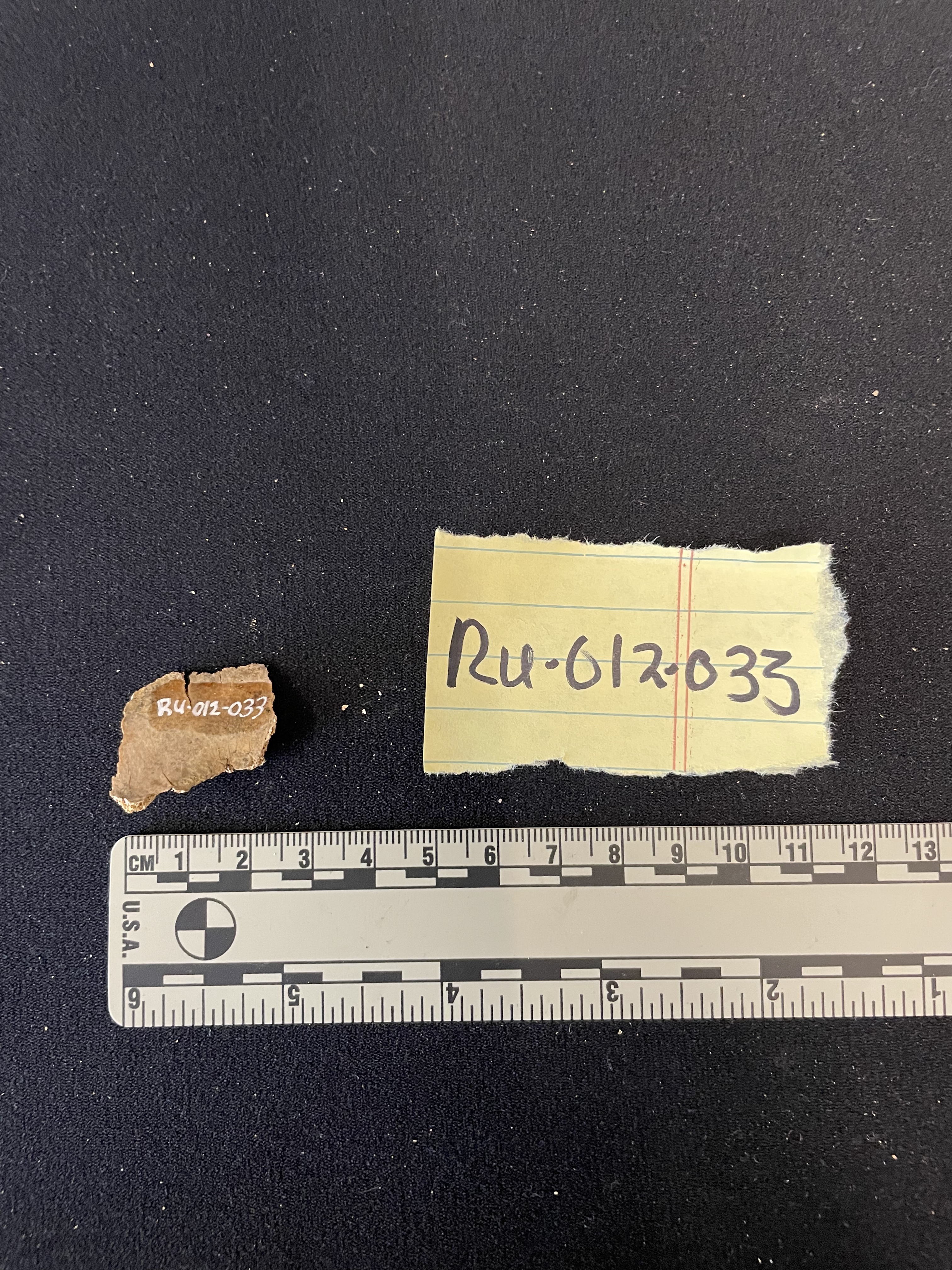 Post cranial fragment 