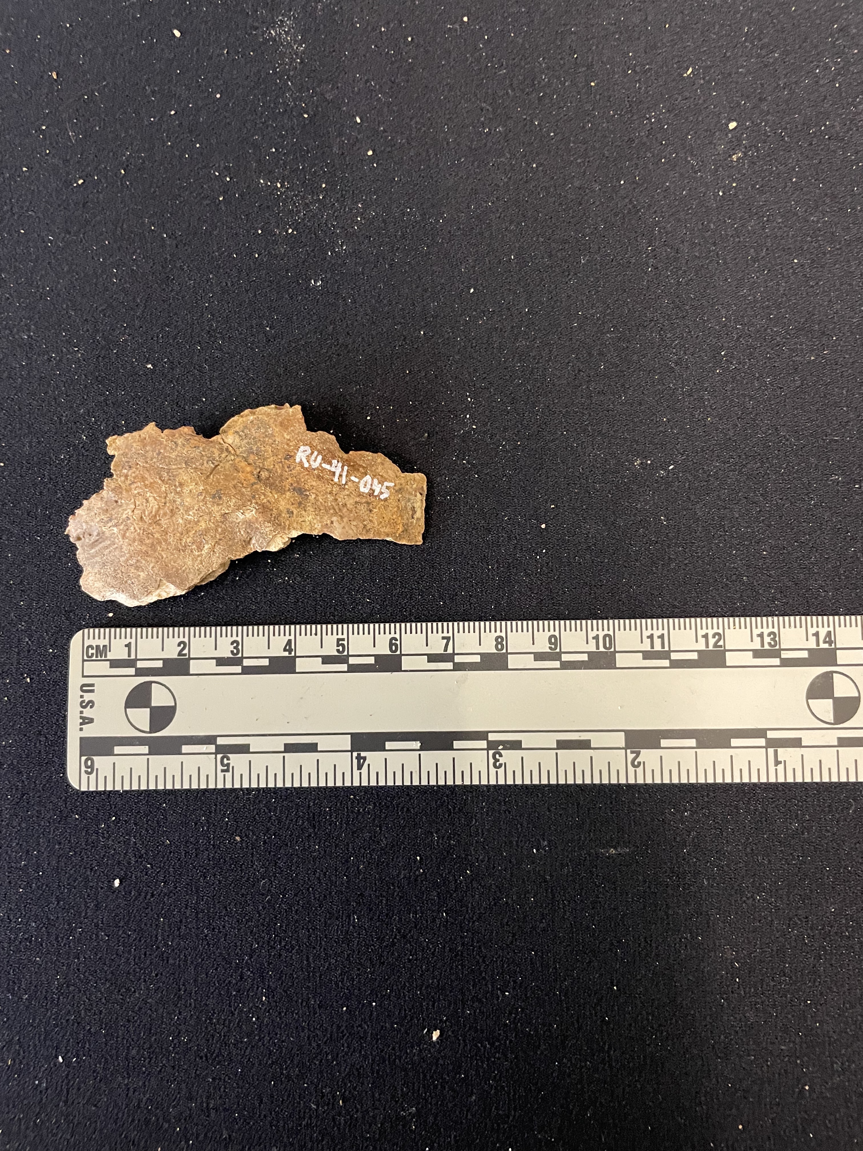 Fragment of occipital