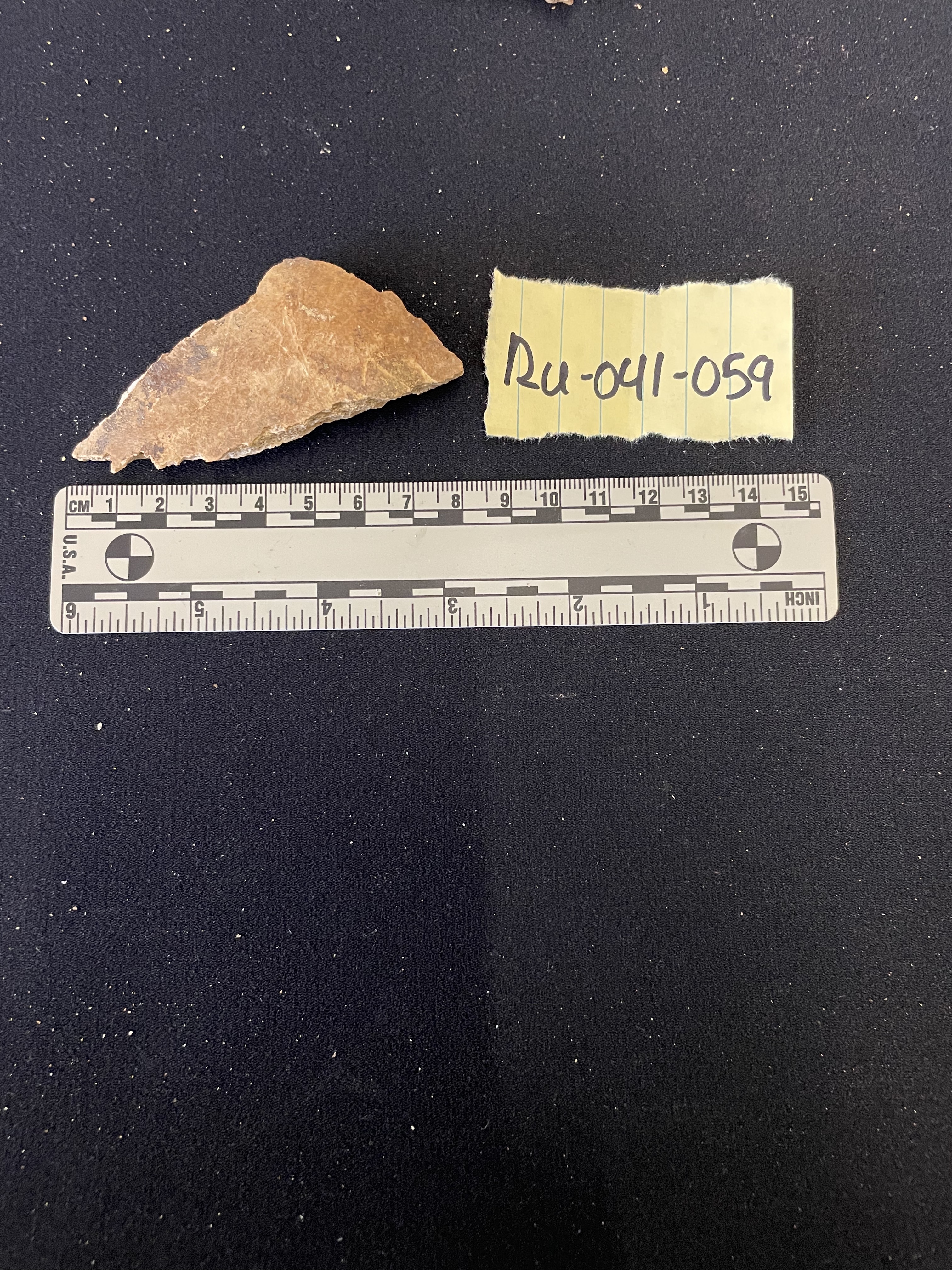 Fragment of parietal 
